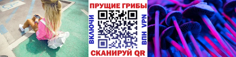 Псилоцибиновые грибы MAGIC MUSHROOMS  хочу   Красный Сулин 